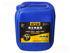 ΢�������-ɽ�|�֠���(y��u)