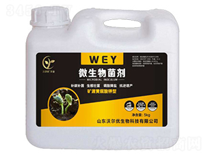 ΢���������5kg��-ɽ�|�֠���(y��u)