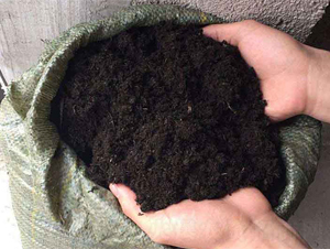 �����ЙC(j��)��-���S����