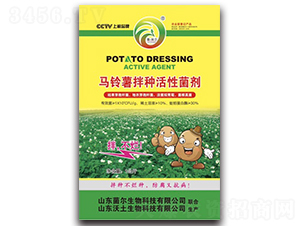 �R�����N���Ծ���-��������