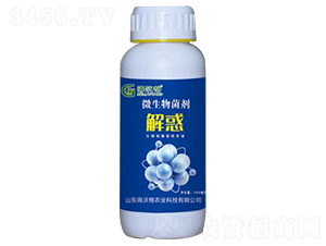 ΢�������-���-���ָ�