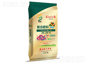 ��(f��)�Ϸ���20-20-8-���-��ʢ�ʘI(y��)