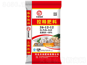 ��ጷ���26-12-12-�|����ͨ-�|������