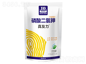 ��������-������-��L(f��ng)�ʘI(y��)