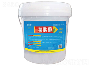 ����ø-���Դ-�T���M����