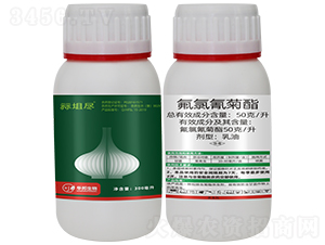 ���������-�{�o�M-�S�՘�