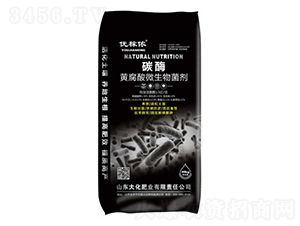 ̼ø�S����΢�������-��(y��u)�ڝ�-��