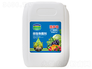 5kg΢�������-�۶���-�пƝ����S