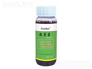 ����(d��o)�ر�������-���R