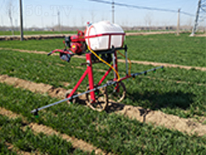 �ַ�����ʽ��ˎ�C(5)-����Cе