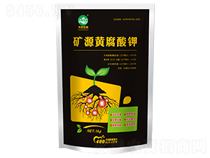 �VԴ�S�����-���r(n��ng)����