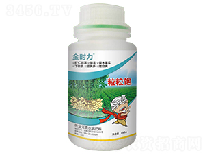 ���������-��r(sh��)��-���r(n��ng)���� 