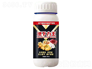 ���¸��o����߮a(ch��n)��(zhu��n)�÷�-��������-���r(n��ng)����