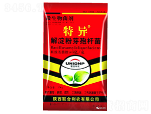 �����ѿ�ߗU��-�خ�-(li��n)�����r(n��ng)