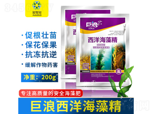 �����徫������-����-�۾۶�