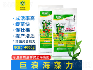 ��s�����-����-�۾۶�