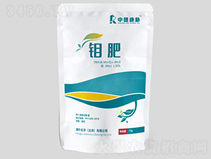 �f��-���㻯�W(xu��)