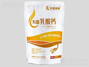 �ЙC(j��)�����}-���㻯�W(xu��)