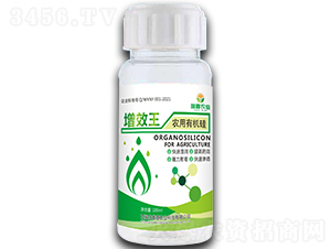 ��Ч�����r(n��ng)���ЙC�裩-Ψϲ�r(n��ng)�I(y��)