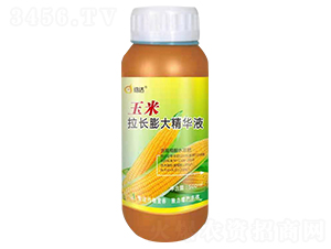 �������L����AҺ-���_(d��)