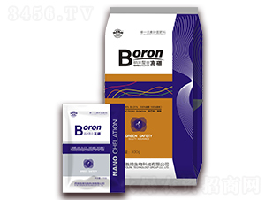 �{�����ϸ����-����