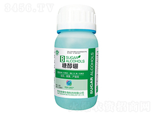 �Ǵ���-����