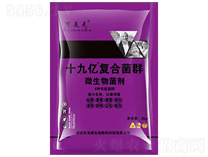 ʮ�Ń|��(f��)�Ͼ�Ⱥ-������-��������