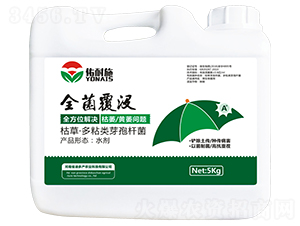 ȫ�����]��΢���������-����ʩ-�϶�a(ch��n)