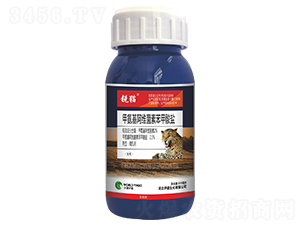 2.3%�װ������S���ر������}΢�鄩-�J؈-�S̩�r(n��ng)�I(y��)