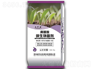 ��ֲ��΢�������-���Sʢ-�����_(d��)