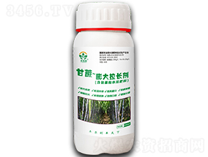 ��������L(zh��ng)��-�S����