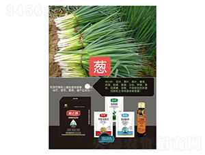 ���砀���M���ײͣ��[���ã�-�Ϸ�·-�Z�M�� 