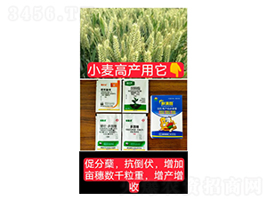 �����߮a(ch��n)�M���ײͣ�С�����ã�-�֝M�@-�Z�M��