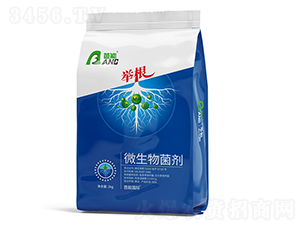 �e��΢�������-����