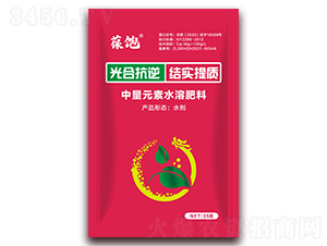 ��Ͽ���Y(ji��)��(sh��)���|(zh��)-���-�����r(n��ng)��