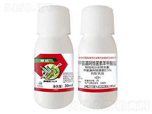 0.5%�װ������S���ر������}����-��Ԓ-ԣ�SԴ