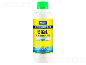 �VԴ��ȩ��ጵ���-������-��ȸ