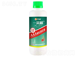 ���������~���-һ�C��-��ȸ