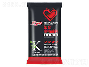 ���ϸ�ֲ���8-0-42+TE-�������r(n��ng)�I(y��)