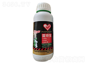 ���ጚ-�������r(n��ng)�I(y��)