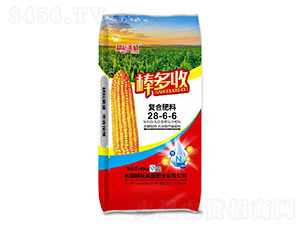 ��(f��)�Ϸ���28-6-6-������-������ʢ