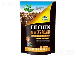 ���Y(ji��)���x�K�Y(ji��)��-�����f����-��������