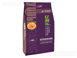 ΢�������-�|����-�����R