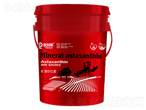 �VԴ�r�t��-�����R