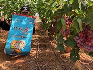 �ɿ����w��ˮ�ܷ����������ϰ����D