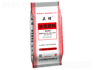 �������19-19-19-����