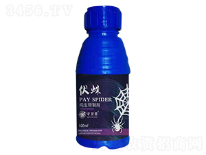 �������Ƅ�-����-�����h