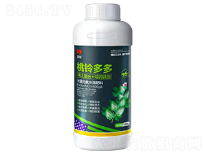 ��⏶��-�����S