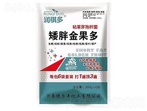 ���ֽ����-������-�ݠ��S