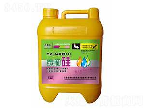 ̩�͹�-������r